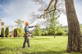 Trusted Holmen, WI  Tree Services Experts